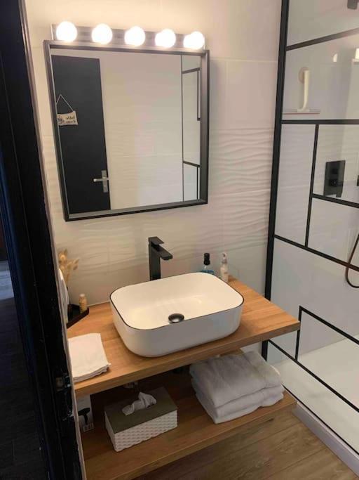 Villa 3 Chambres Parking Et Terrasse Plaisance-du-Touch 외부 사진