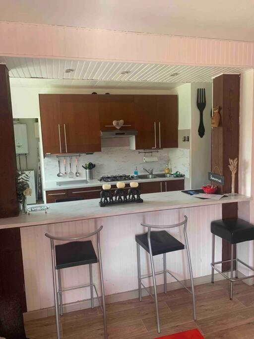 Villa 3 Chambres Parking Et Terrasse Plaisance-du-Touch 외부 사진