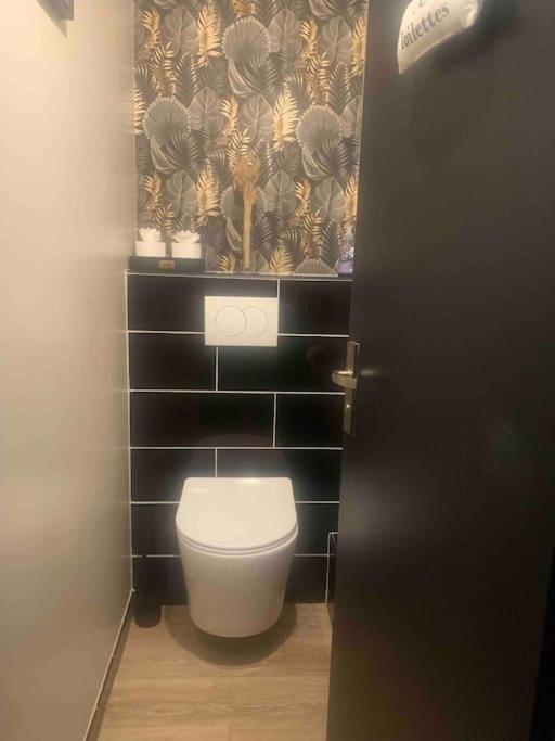 Villa 3 Chambres Parking Et Terrasse Plaisance-du-Touch 외부 사진